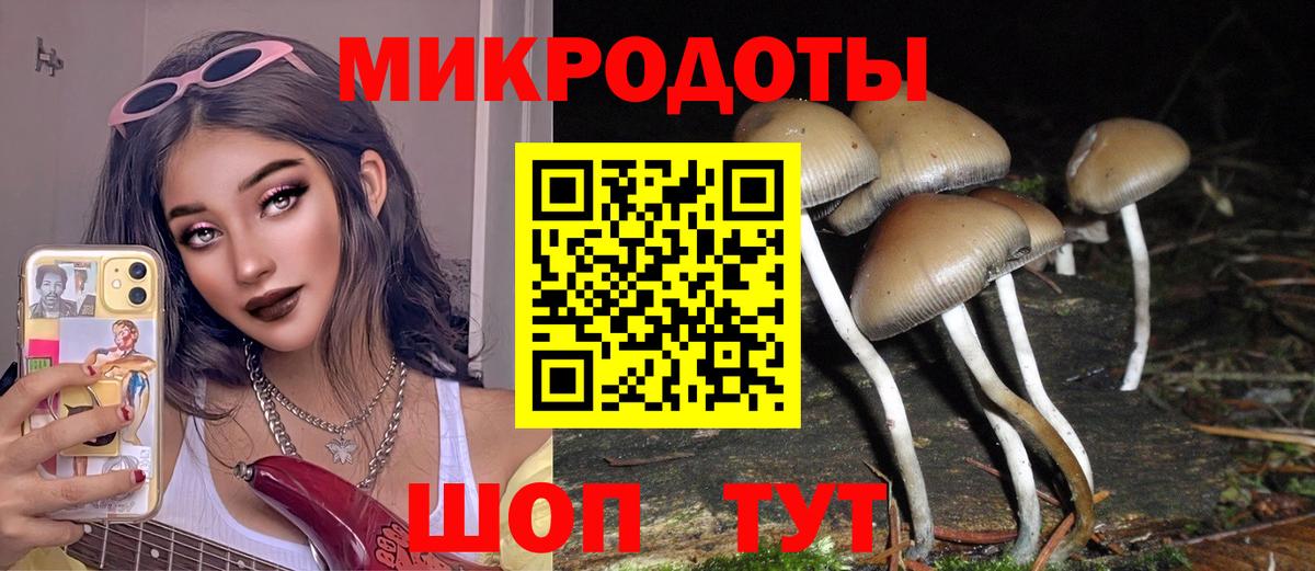 Галлюциногенные грибы мицелий Назарово