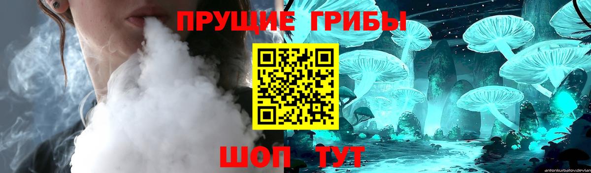 Назарово  Галлюциногенные грибы Cubensis  Вход с VPN 